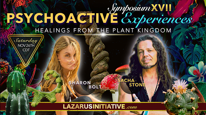 Symposium XVII Segment 4- Psychoactive Experiences