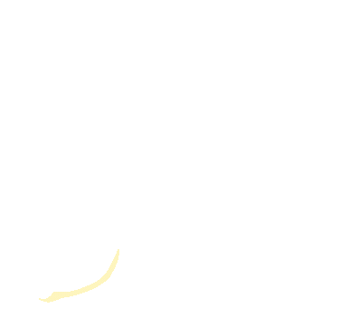 Particle element